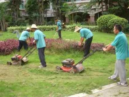 別墅庭院綠化養(yǎng)護